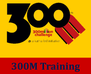 300M